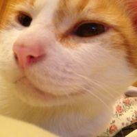 はるのすけ 会員画像