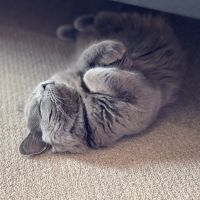 ちいちゃ 会員画像