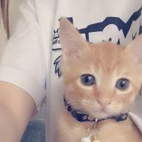 もえぺーたん 会員画像