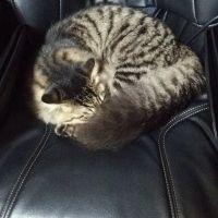 会員画像