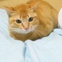 会員画像