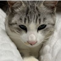 会員画像