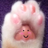 キシ 会員画像