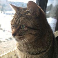 会員画像