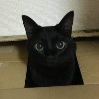 *ふじこ* 会員画像