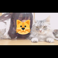 ぷぷちゃん○ 会員画像