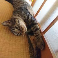 会員画像