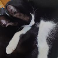 会員画像
