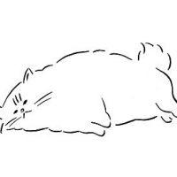 cocona* 会員画像