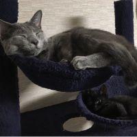 ギルママ 会員画像