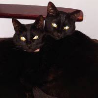 いずる 会員画像