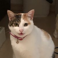 会員画像