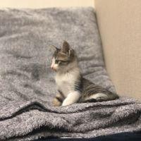 会員画像