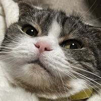 OMEGAさん