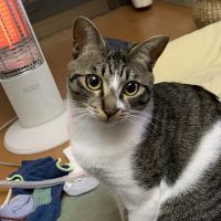 たむさ 会員画像