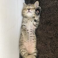 会員画像