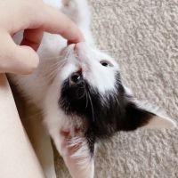 会員画像
