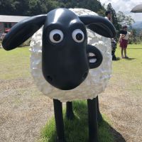 あおいくん 会員画像