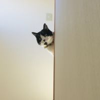会員画像