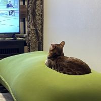 ふみえちゃん 会員画像