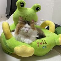 とーゆ 会員画像