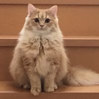 Kiki12 会員画像