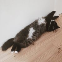 うな重 会員画像