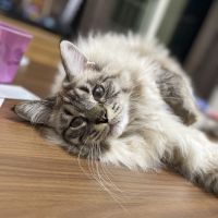 サミー1106さん