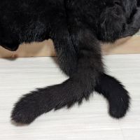 ○みー○ 会員画像