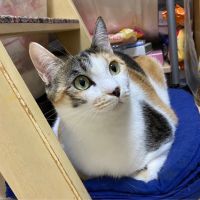 奏(かなで) 会員画像