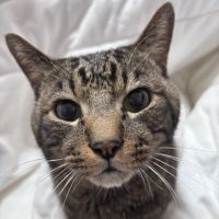 mern08さん