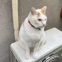 オリタロウさん