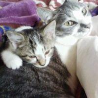 うのまま 会員画像