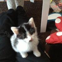 ゆんゆーん 会員画像