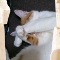 みろひ 会員画像