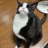 ジナさん