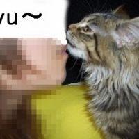 syo 会員画像