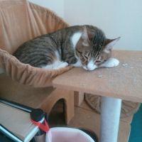 ルルラララブさん