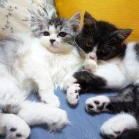 はるみ 会員画像