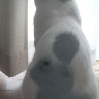みむす 会員画像