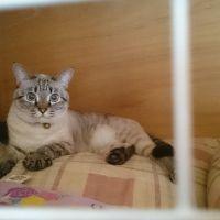 いぶあいたい 会員画像
