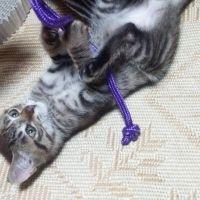 fujiさんパート2 会員画像