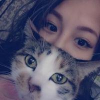 やまわかにゃん 会員画像