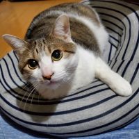 会員画像