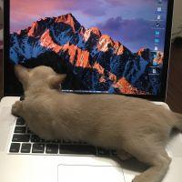 ユキの親 会員画像