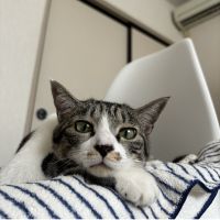 会員画像