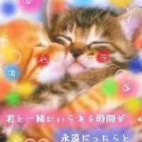 びぃびぃ✬ 会員画像