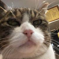 えいいち 会員画像