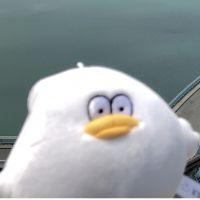 廉太郎 会員画像