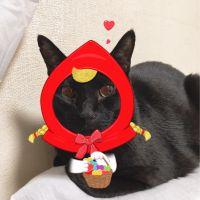 ゆぱく 会員画像